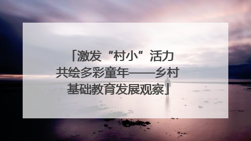 激发“村小”活力 共绘多彩童年——乡村基础教育发展观察