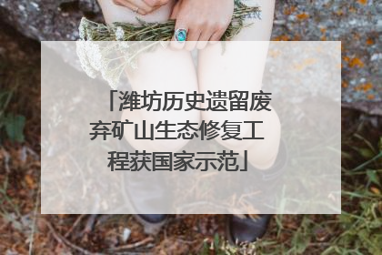 潍坊历史遗留废弃矿山生态修复工程获国家示范