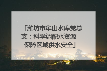 潍坊市牟山水库党总支：科学调配水资源 保障区域供水安全