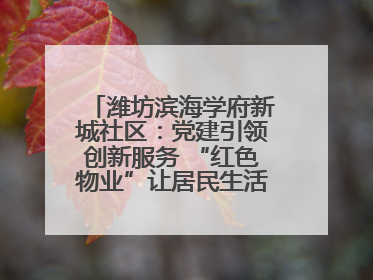 潍坊滨海学府新城社区：党建引领创新服务 “红色物业”让居民生活“幸福满格”