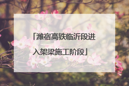 潍宿高铁临沂段进入架梁施工阶段