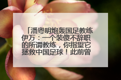 潘粤明炮轰国足教练伊万：一个装傻不辞职的所谓教练，你指望它拯救中国足球！此前曾多次发文评价国足