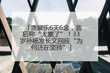 潘展乐6天6金，赛后称“太累了”！33岁孙杨发长文回应“为何还在坚持”