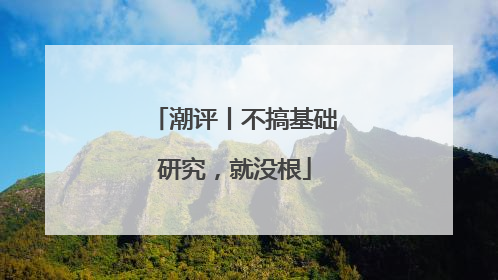 潮评丨不搞基础研究，就没根