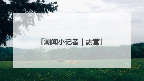 潮闻小记者｜露营