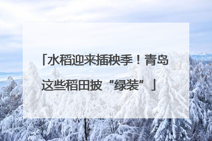 水稻迎来插秧季！青岛这些稻田披“绿装”