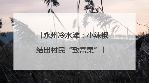 永州冷水滩：小辣椒结出村民“致富果”