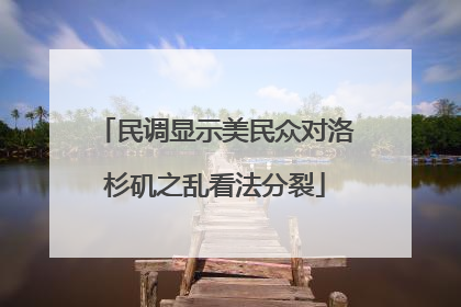 民调显示美民众对洛杉矶之乱看法分裂
