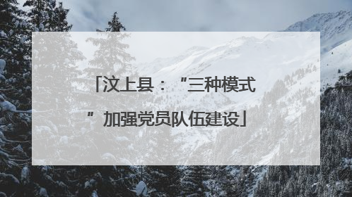 汶上县：“三种模式”加强党员队伍建设