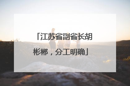 江苏省副省长胡彬郴，分工明确