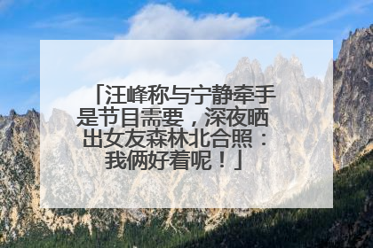 汪峰称与宁静牵手是节目需要，深夜晒出女友森林北合照：我俩好着呢！