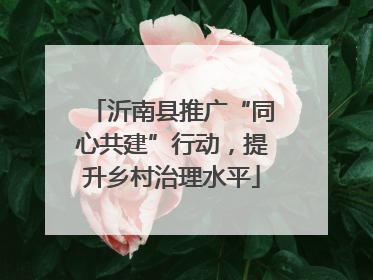 沂南县推广“同心共建”行动，提升乡村治理水平