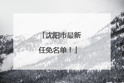 沈阳市最新任免名单！