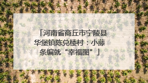 河南省商丘市宁陵县华堡镇陈兑楼村：小藤条编就“幸福图”