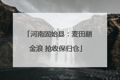 河南固始县：麦田翻金浪 抢收保归仓