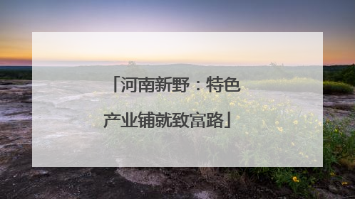 河南新野：特色产业铺就致富路