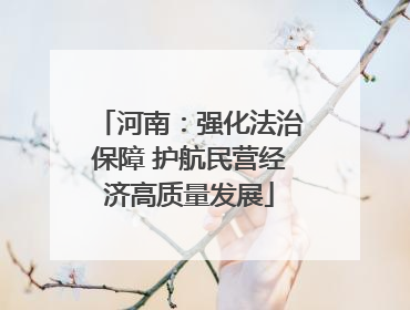 河南：强化法治保障 护航民营经济高质量发展