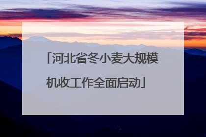 河北省冬小麦大规模机收工作全面启动
