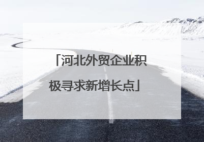 河北外贸企业积极寻求新增长点