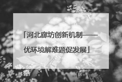 河北廊坊创新机制——优环境解难题促发展