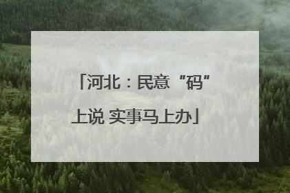 河北：民意“码”上说 实事马上办
