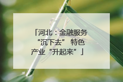 河北：金融服务“沉下去” 特色产业“升起来”