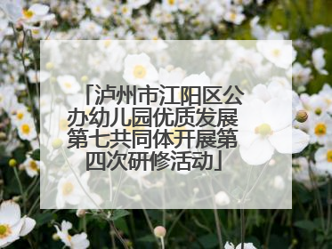 泸州市江阳区公办幼儿园优质发展第七共同体开展第四次研修活动