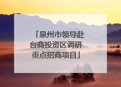 泉州市领导赴台商投资区调研重点招商项目