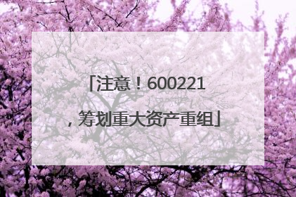 注意！600221，筹划重大资产重组