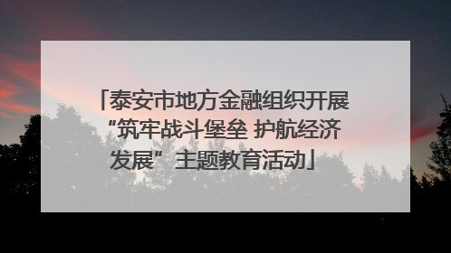 泰安市地方金融组织开展“筑牢战斗堡垒 护航经济发展”主题教育活动