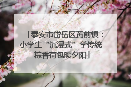 泰安市岱岳区黄前镇：小学生“沉浸式”学传统 粽香荷包暖夕阳