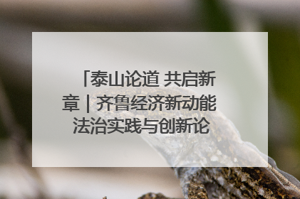 泰山论道 共启新章｜齐鲁经济新动能 法治实践与创新论坛成功举办