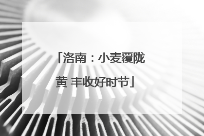 洛南：小麦覆陇黄 丰收好时节