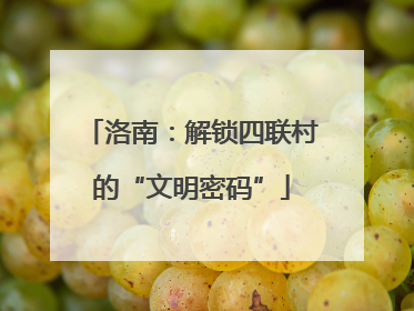 洛南：解锁四联村的“文明密码”