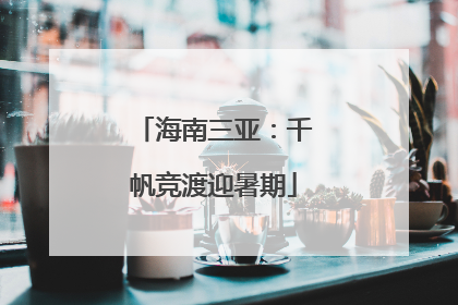 海南三亚：千帆竞渡迎暑期