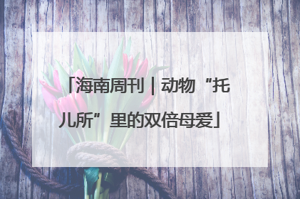 海南周刊｜动物“托儿所”里的双倍母爱