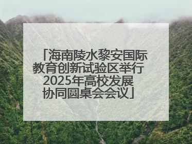 海南陵水黎安国际教育创新试验区举行2025年高校发展协同圆桌会会议