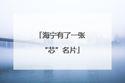 海宁有了一张“芯”名片