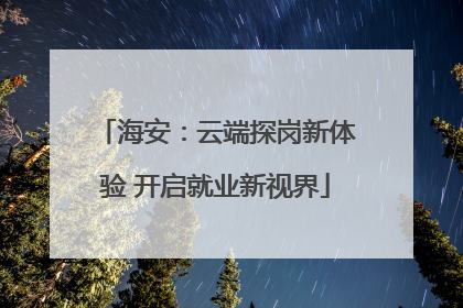 海安：云端探岗新体验 开启就业新视界
