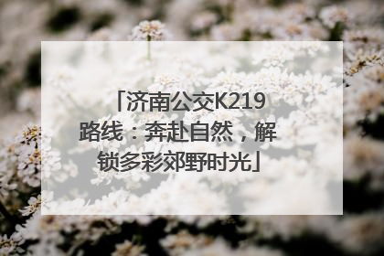 济南公交K219路线：奔赴自然，解锁多彩郊野时光