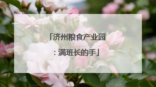 济州粮食产业园：满班长的手