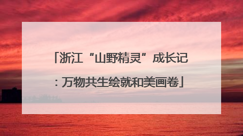 浙江“山野精灵”成长记：万物共生绘就和美画卷