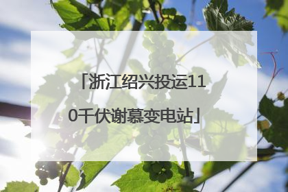 浙江绍兴投运110千伏谢慕变电站