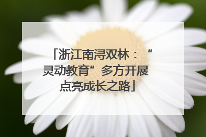 浙江南浔双林：“灵动教育”多方开展 点亮成长之路