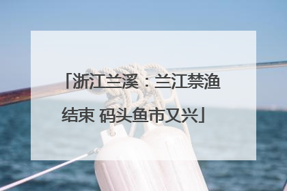 浙江兰溪：兰江禁渔结束 码头鱼市又兴