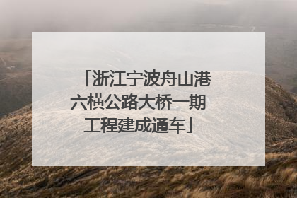 浙江宁波舟山港六横公路大桥一期工程建成通车