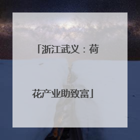 浙江武义：荷花产业助致富