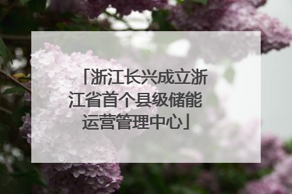浙江长兴成立浙江省首个县级储能运营管理中心