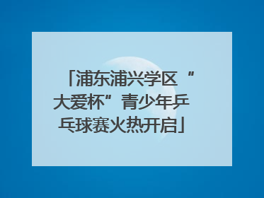 浦东浦兴学区“大爱杯”青少年乒乓球赛火热开启
