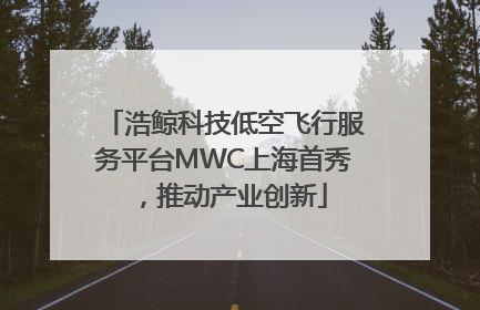 浩鲸科技低空飞行服务平台MWC上海首秀，推动产业创新